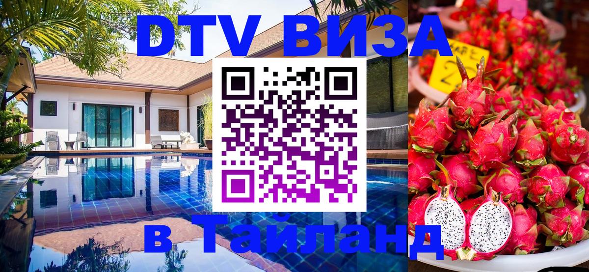 Сколько стоит DTV виза — актуальные цены, оформление даже без документов - Домодедово  19.11.2025 